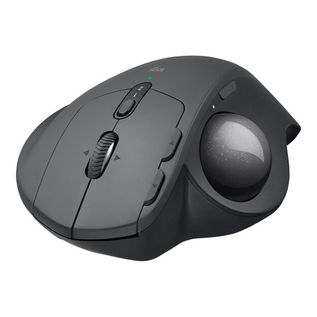 Kompiuterinė pelė belaidė OPTICAL WRL MX ERGO/910-005179 LOGITECH