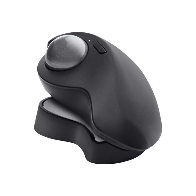 Kompiuterinė pelė belaidė OPTICAL WRL MX ERGO/910-005179 LOGITECH