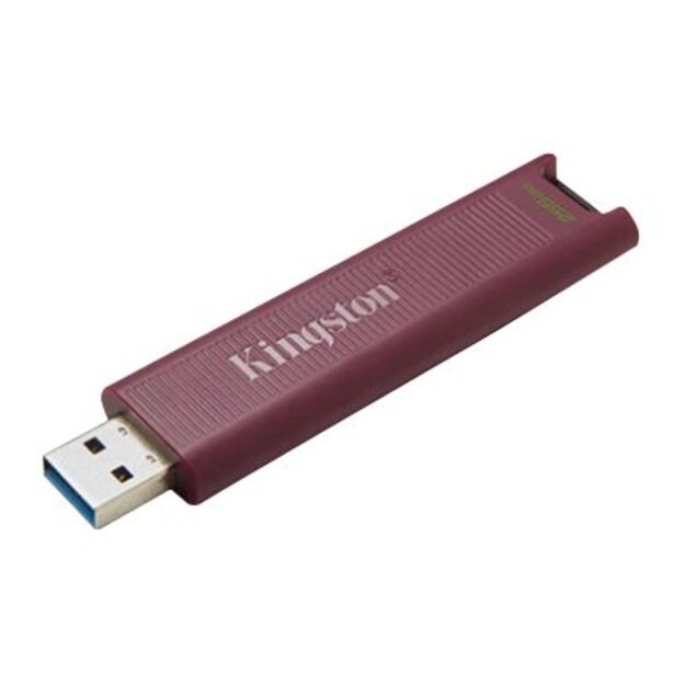 USB raktas MEMORY DRIVE FLASH USB3.2/256GB DTMAXA/256GB KINGSTON