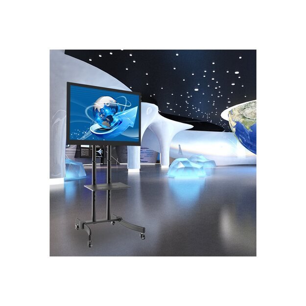 Televizoriaus stovas LOGILINK BP0026 LOGILINK -  TV stand cart, adjustable TV height, 37-70, max. 40 kg