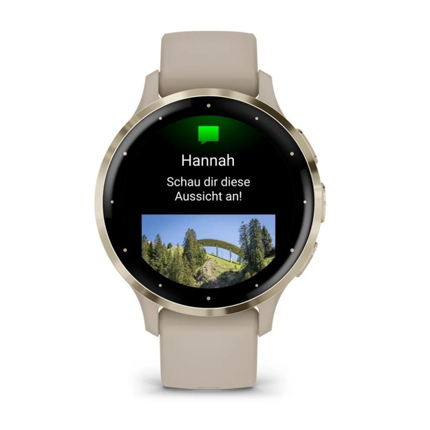 SMARTWATCH VENU 3S/GRAY/GOLD 010-02785-02 GARMIN
