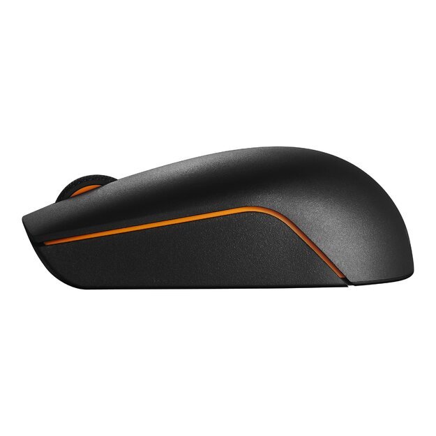 LENOVO 300 Wireless Compact Mouse - WW