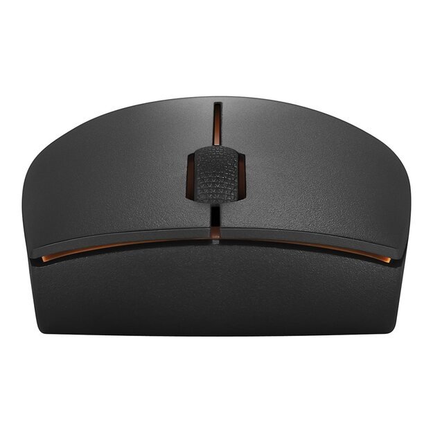 LENOVO 300 Wireless Compact Mouse - WW