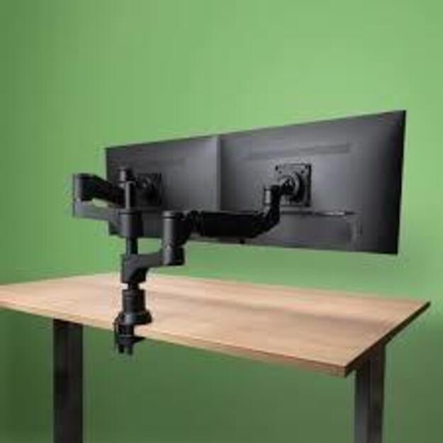 MONITOR ACC ARM CAPARO DUAL/RGOVLCA4TWSI R-GO TOOLS