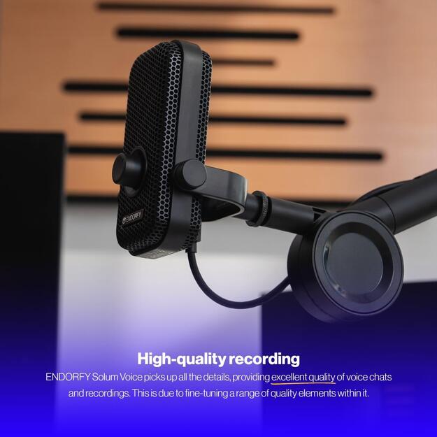 MICROPHONE SOLUM VOICE USB-C/EY1B014 ENDORFY 21