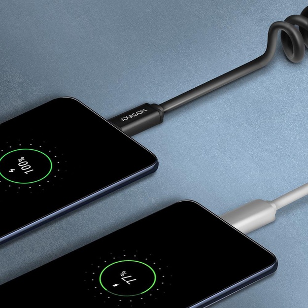 CABLE USB-C TO USB2.0 0.6M/TWISTER BLK BUCM-AM10TB AXAGON