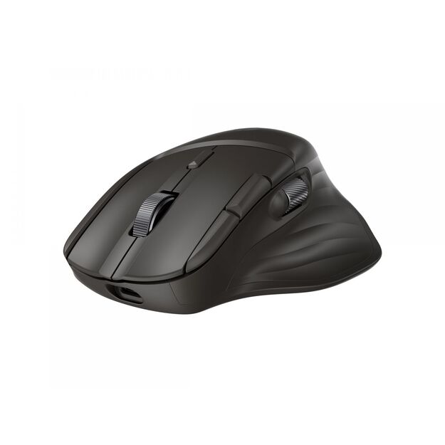 HP Ultra-Fast Scroll Wireless Mouse 785M 3