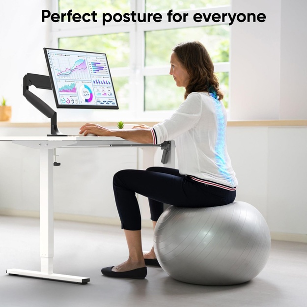 DESK FRAME MOTORISED/WHITE WDF221E-W ONKRON
