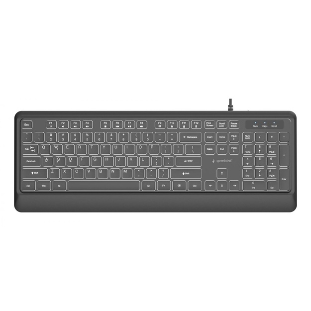 GEMBIRD Slim wired backlight keyboard black US layout