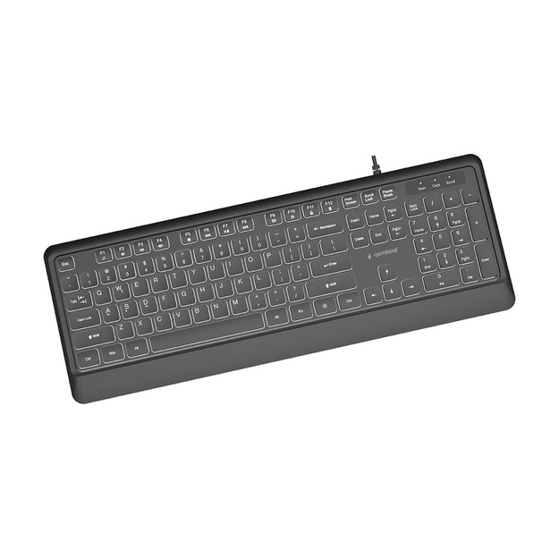GEMBIRD Slim wired backlight keyboard black US layout
