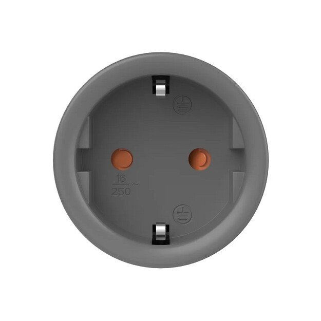 Sonoff WiFi Smart Plug S60-TPF - išmanusis kištukas / lizdas