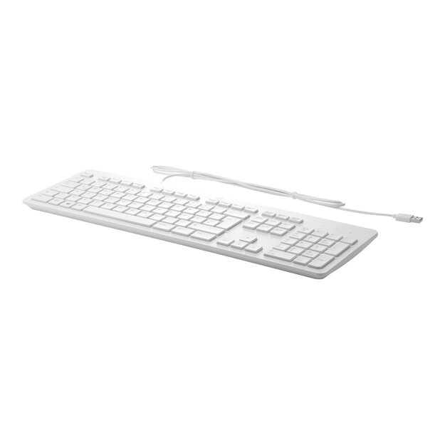 Klaviatūra laidinė HP USB Grey Business Slim 