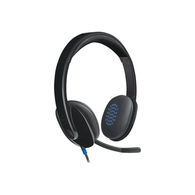 Ausinės LOGITECH H540 USB Headset black