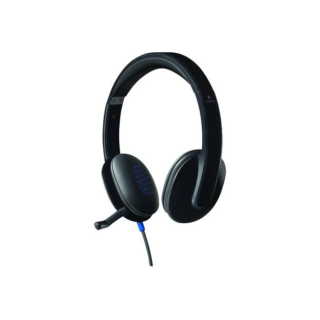 Ausinės LOGITECH H540 USB Headset black