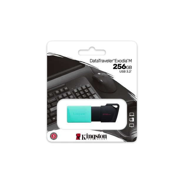 USB raktas MEMORY DRIVE FLASH USB3.2/256GB DTXM/256GB KINGSTON