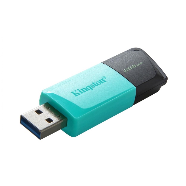USB raktas MEMORY DRIVE FLASH USB3.2/256GB DTXM/256GB KINGSTON