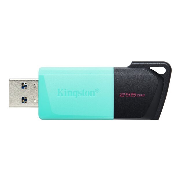 USB raktas MEMORY DRIVE FLASH USB3.2/256GB DTXM/256GB KINGSTON