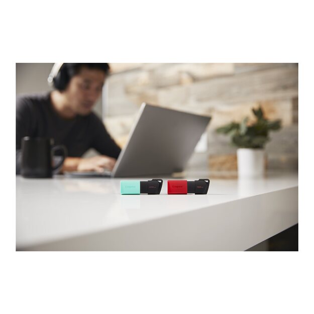 USB raktas MEMORY DRIVE FLASH USB3.2/256GB DTXM/256GB KINGSTON