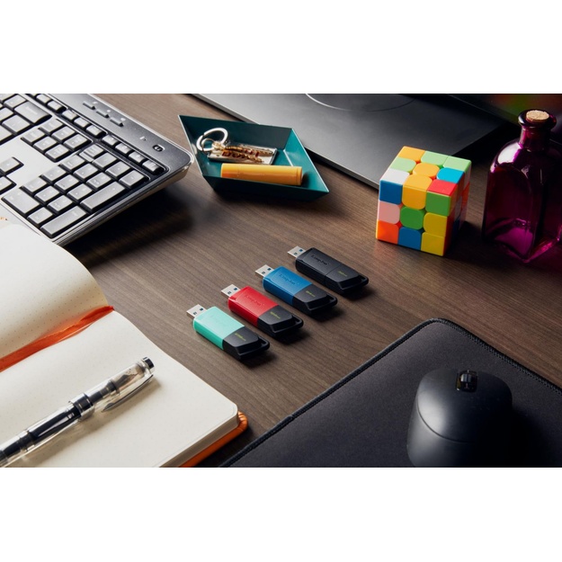 USB raktas MEMORY DRIVE FLASH USB3.2/256GB DTXM/256GB KINGSTON