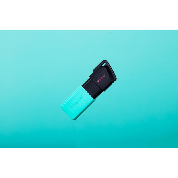 USB raktas MEMORY DRIVE FLASH USB3.2/256GB DTXM/256GB KINGSTON