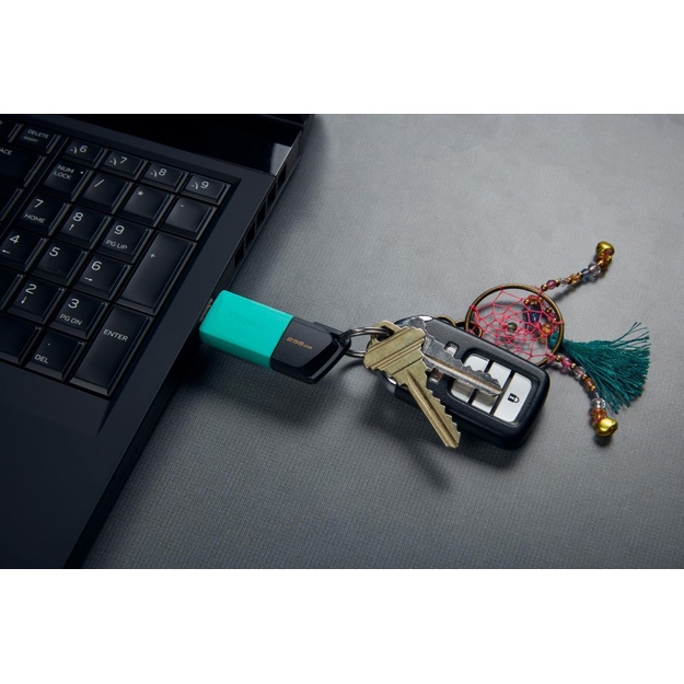 USB raktas MEMORY DRIVE FLASH USB3.2/256GB DTXM/256GB KINGSTON