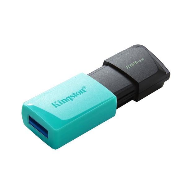 USB raktas MEMORY DRIVE FLASH USB3.2/256GB DTXM/256GB KINGSTON