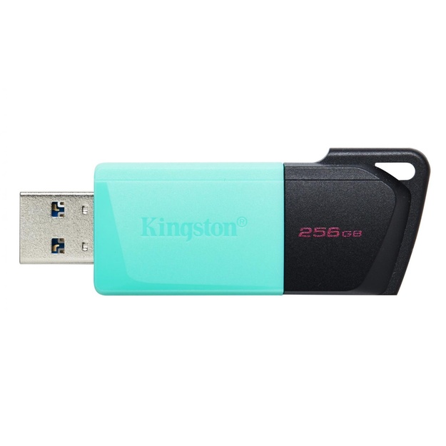USB raktas MEMORY DRIVE FLASH USB3.2/256GB DTXM/256GB KINGSTON