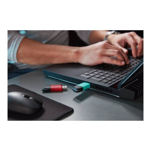 USB raktas MEMORY DRIVE FLASH USB3.2/256GB DTXM/256GB KINGSTON