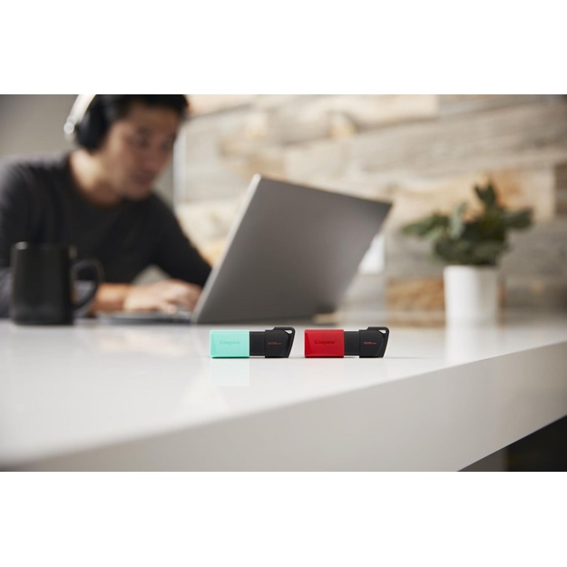 USB raktas MEMORY DRIVE FLASH USB3.2/256GB DTXM/256GB KINGSTON
