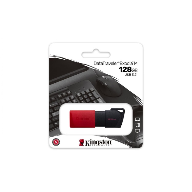 USB raktas MEMORY DRIVE FLASH USB3.2/128GB DTXM/128GB KINGSTON