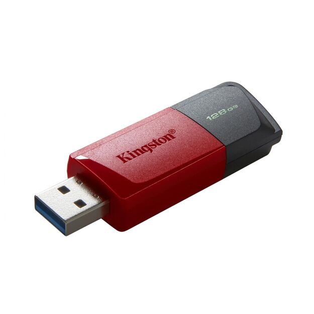 USB raktas MEMORY DRIVE FLASH USB3.2/128GB DTXM/128GB KINGSTON 14