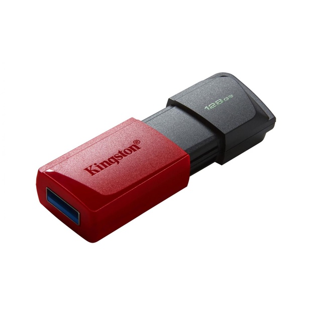 USB raktas MEMORY DRIVE FLASH USB3.2/128GB DTXM/128GB KINGSTON