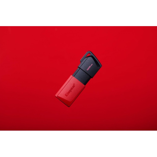 USB raktas MEMORY DRIVE FLASH USB3.2/128GB DTXM/128GB KINGSTON
