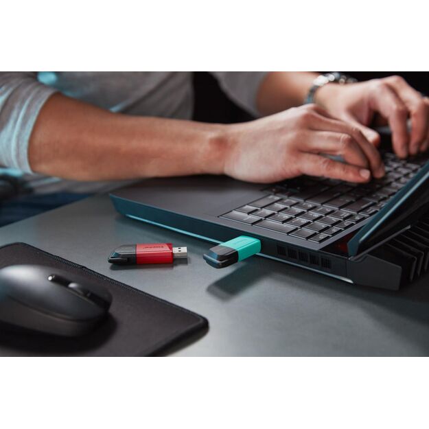 USB raktas MEMORY DRIVE FLASH USB3.2/128GB DTXM/128GB KINGSTON 22