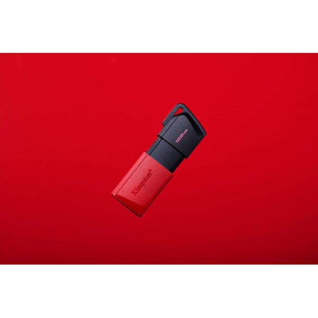 USB raktas MEMORY DRIVE FLASH USB3.2/128GB DTXM/128GB KINGSTON 17