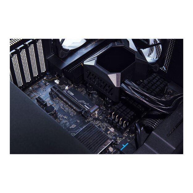 KINGSTON KC3000 4096GB PCIe 4.0 NVMe M.2 SSD 15