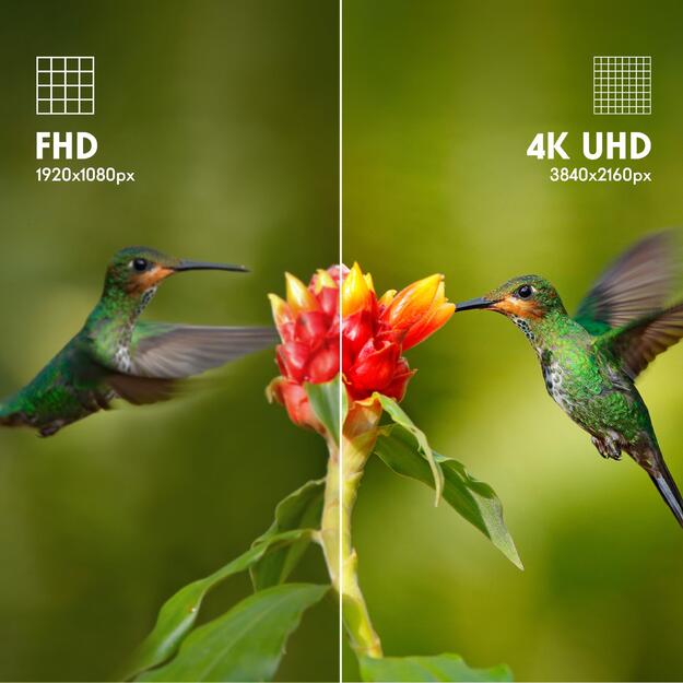 TV SET LCD 43  QLED 4K/WHITE 43UG4S14W THOMSON 13