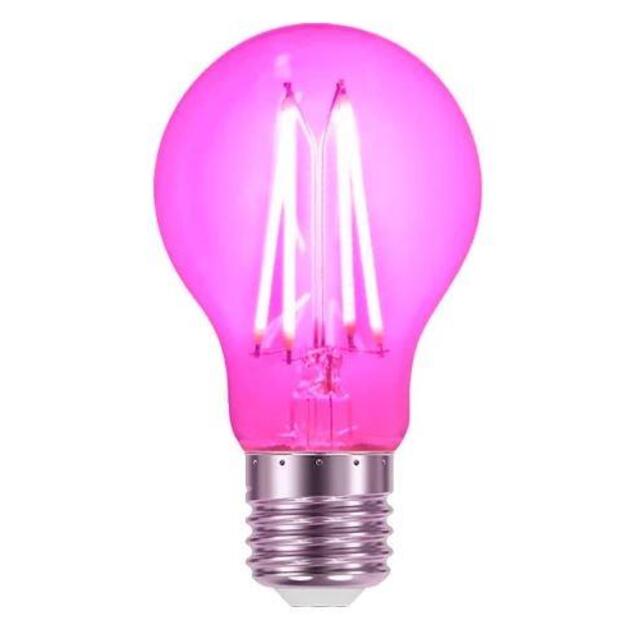 Light Bulb|VISIONAL|Power consumption 8 Watts|Beam angle 360 degrees|04-219