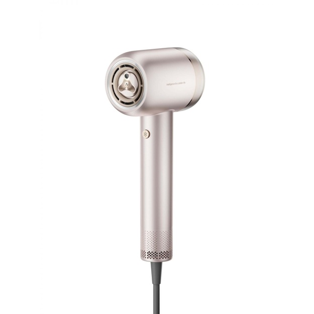 HAIR DRYER GUSTO/PINK GOLD AHG40A-PK DREAME