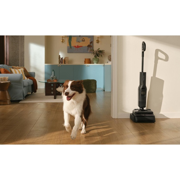 VACUUM CLEANER F25 STEAM/BLACK WD6Y6A522-00 ROBOROCK