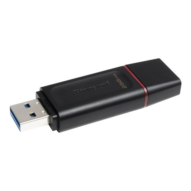 USB raktas KINGSTON 256GB USB3.2 Gen1 DataTraveler Exodia Black + Pink 33