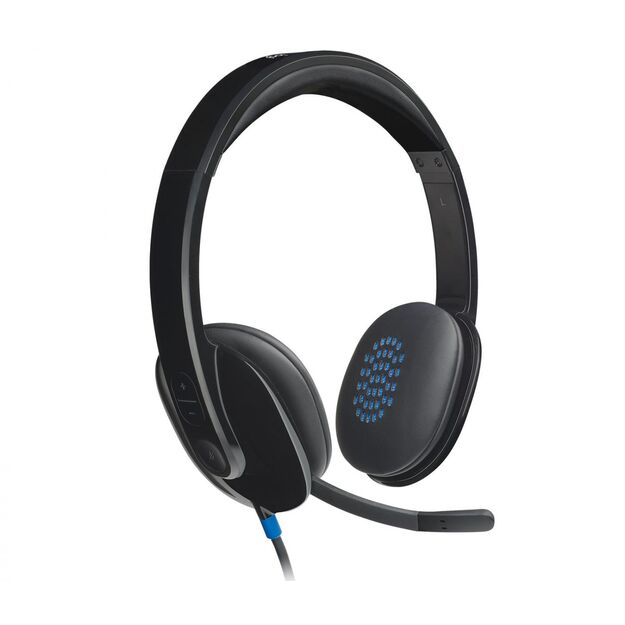 Ausinės HEADSET USB H540/981-000480 LOGITECH 22