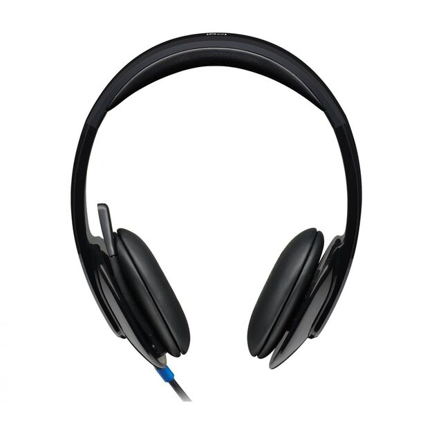 Ausinės HEADSET USB H540/981-000480 LOGITECH 20