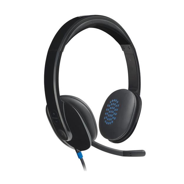 Ausinės HEADSET USB H540/981-000480 LOGITECH 18