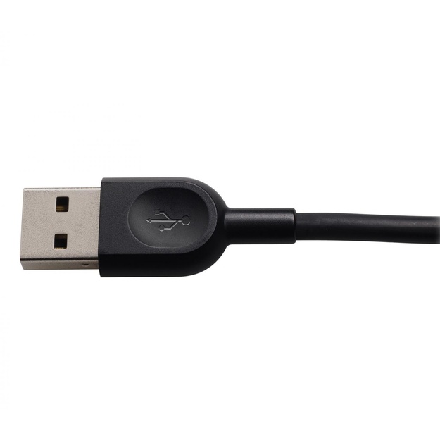 Ausinės HEADSET USB H540/981-000480 LOGITECH