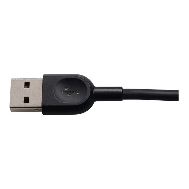 Ausinės HEADSET USB H540/981-000480 LOGITECH
