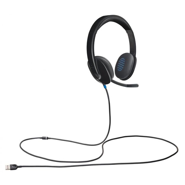 Ausinės HEADSET USB H540/981-000480 LOGITECH 21