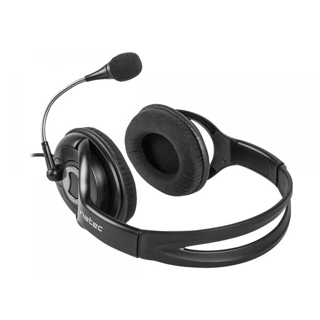 Ausinės NATEC NSL-1178 Natec Bear 2 Headphones + Microphone, 2x Mini Jack 3,5mm