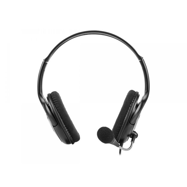 Ausinės NATEC NSL-1178 Natec Bear 2 Headphones + Microphone, 2x Mini Jack 3,5mm