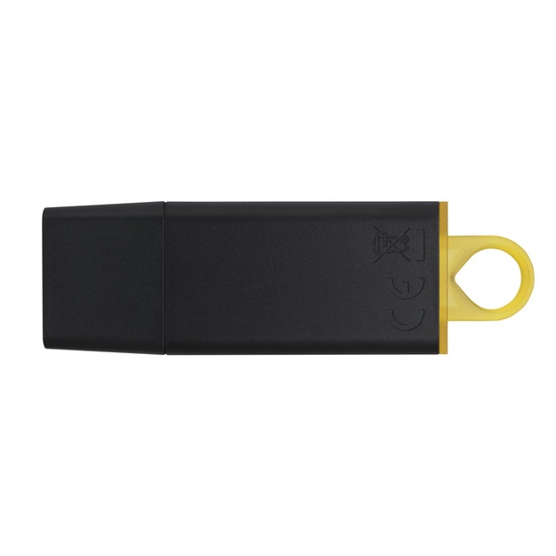 USB raktas USB3.2/128GB DTX/128GB KINGSTON